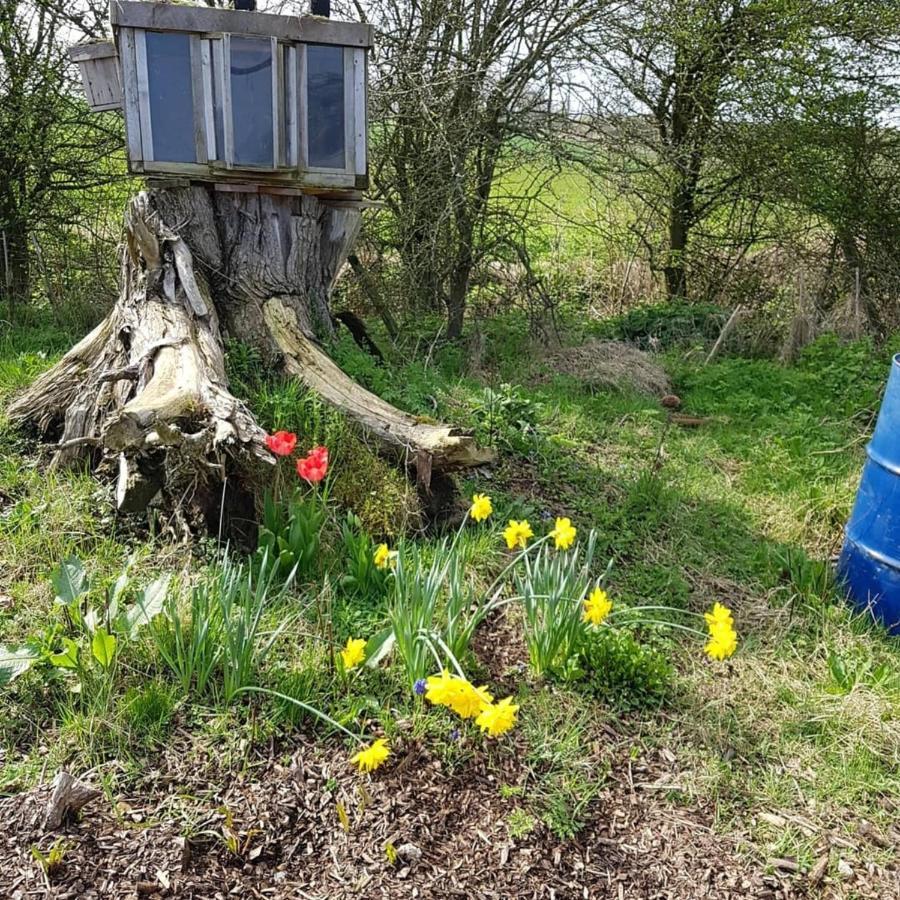 Romantic Escape Luxury Hobbit House With Hot Tub! Sheerness Eksteriør bilde